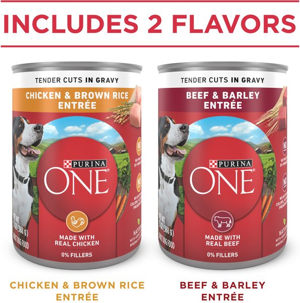 Purina One Tender Cuts in Gravy Chicken Brown Rice and Beef Barley Adult Canned Dog Food - Variety Pack - 13 Oz - Case of 6 - 2 Pack