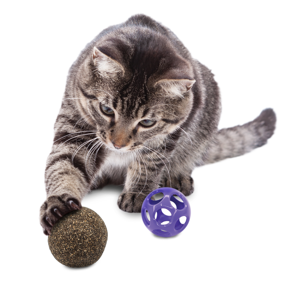 Kong Blissy Moon 2-in-1 Rubber and Catnip Ball Cat Toy - Small  