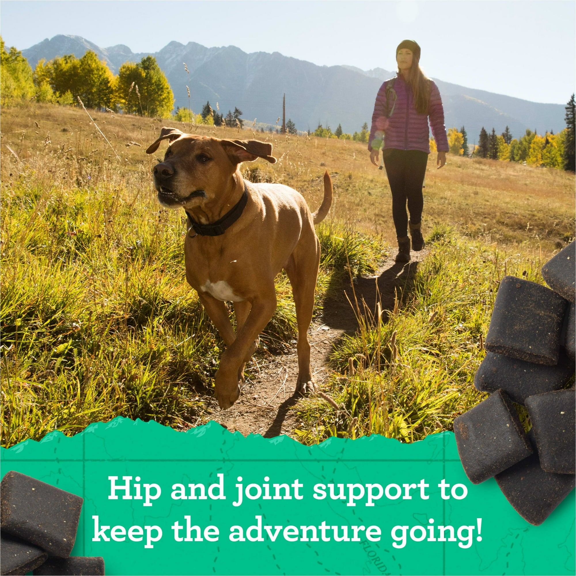 Zuke's Hip and Joint Support Peanut Butter and Oats Recipe Senior Adult Soft and Chewy Dog Treats - 6 Oz