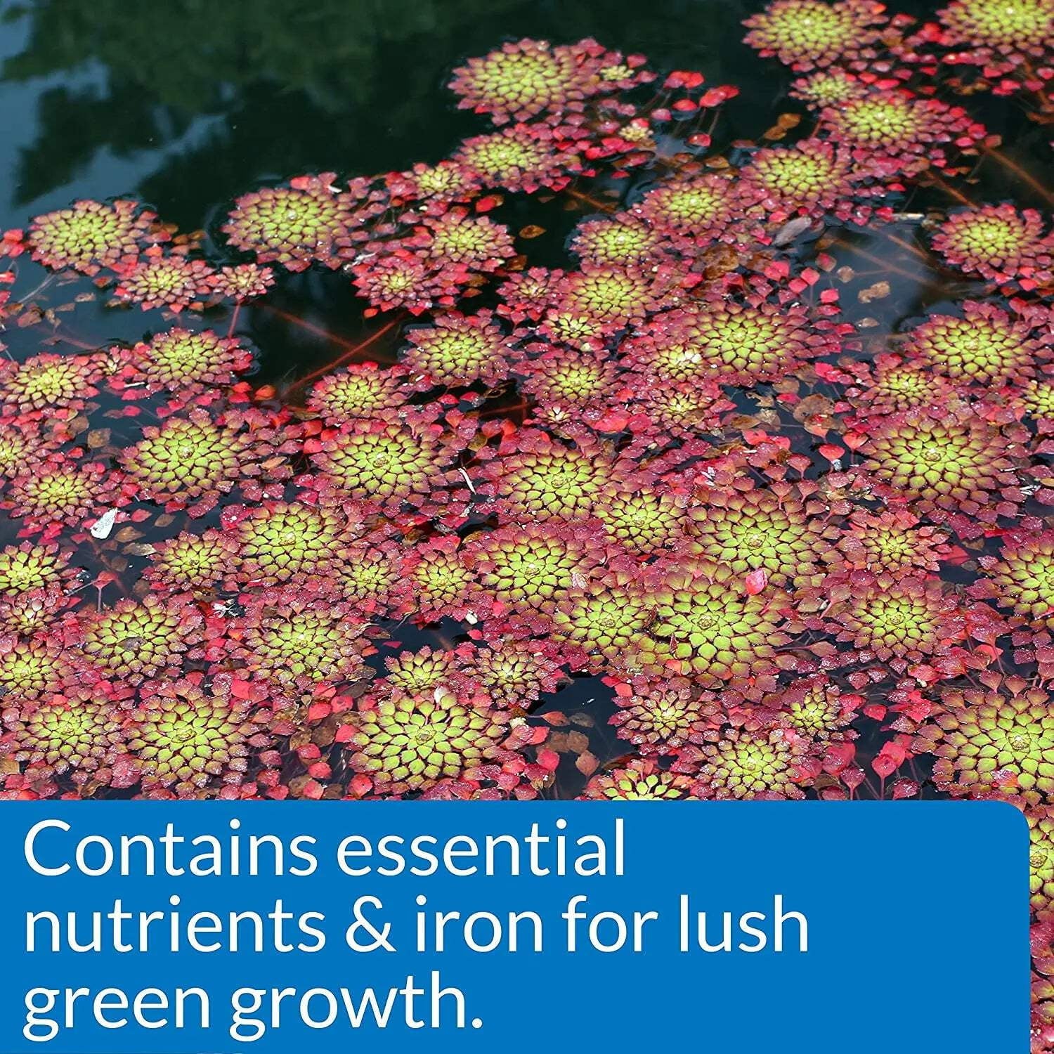 API PondCare Aquatic Freeze-Dried Potted Plant Pond Food Fertilizer - 3.8 Oz - 25 Tablets
