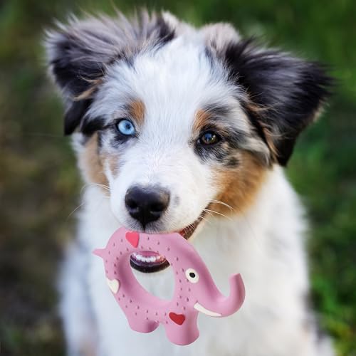 Ethical SPOT Latex Ring Honking Squeaker Chew Latex Dog Toy - 5 Inch - Assorted Color