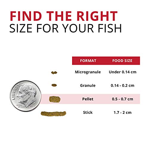 Fluval Bug Bites Insect Cichlid Formula Pellets for Medium-Large Sized Fish Food