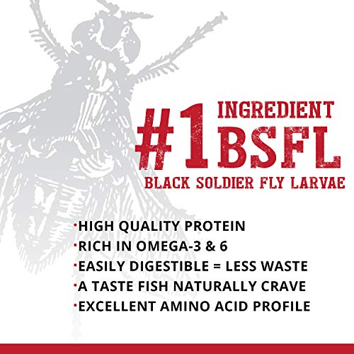 Fluval Bug Bites Insect Cichlid Formula Pellets for Medium-Large Sized Fish Food