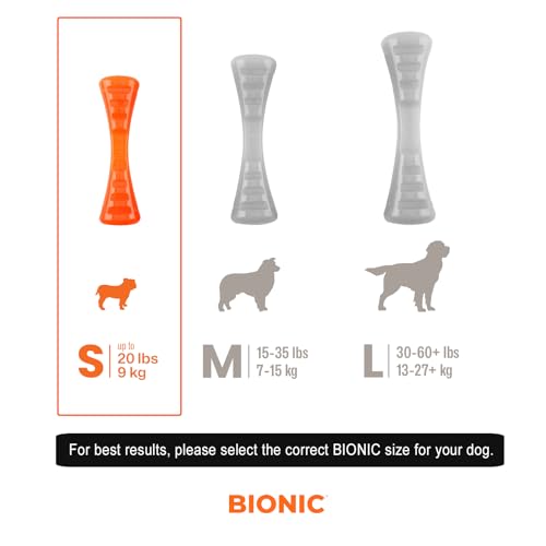 BIONIC Urban Stick Toughest Chewer Interactive Fetch Rubber Dog Toy - Small - Dogs Up to 20 Lbs
