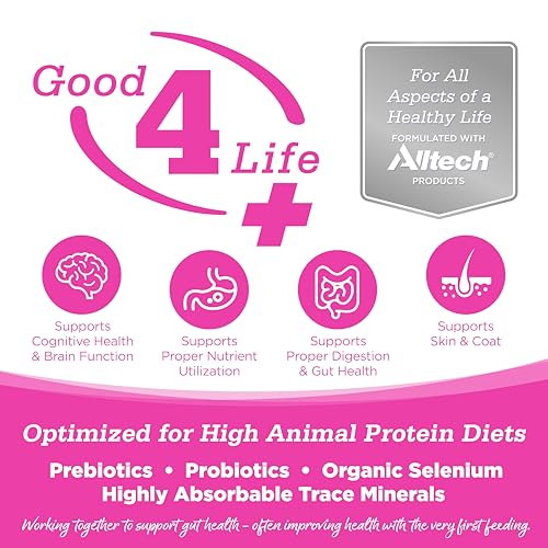 Nutrisource Element Series Scenic Meadow Grain-Free Turkey Duck and Rabbit Dry Cat Food - 4 Lbs - Case of 8