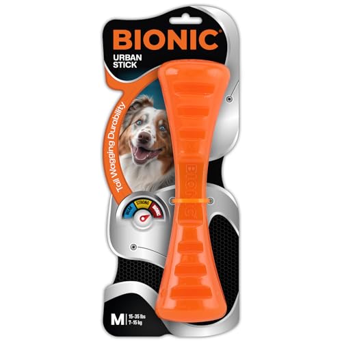BIONIC Urban Stick Toughest Chewer Interactive Fetch Rubber Dog Toy - Medium - Dogs 15-35 Lbs
