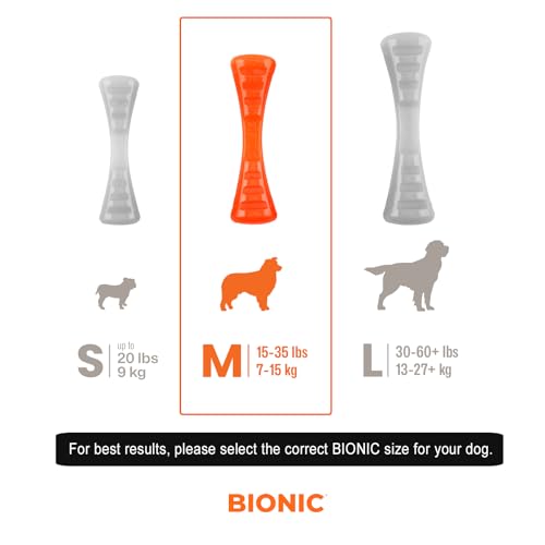BIONIC Urban Stick Toughest Chewer Interactive Fetch Rubber Dog Toy - Medium - Dogs 15-35 Lbs