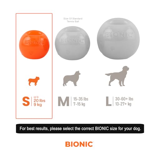 BIONIC Ball Toughest Chew Indestructible Fetch Rubber Dog Toy - Small - Dogs Up to 20 Lbs