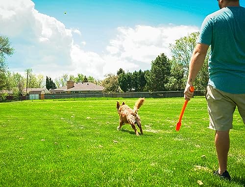 Flingerz Fling and Fetch Launcher Interactive Dog Toy with Nylon Squeaking Honey Bee   