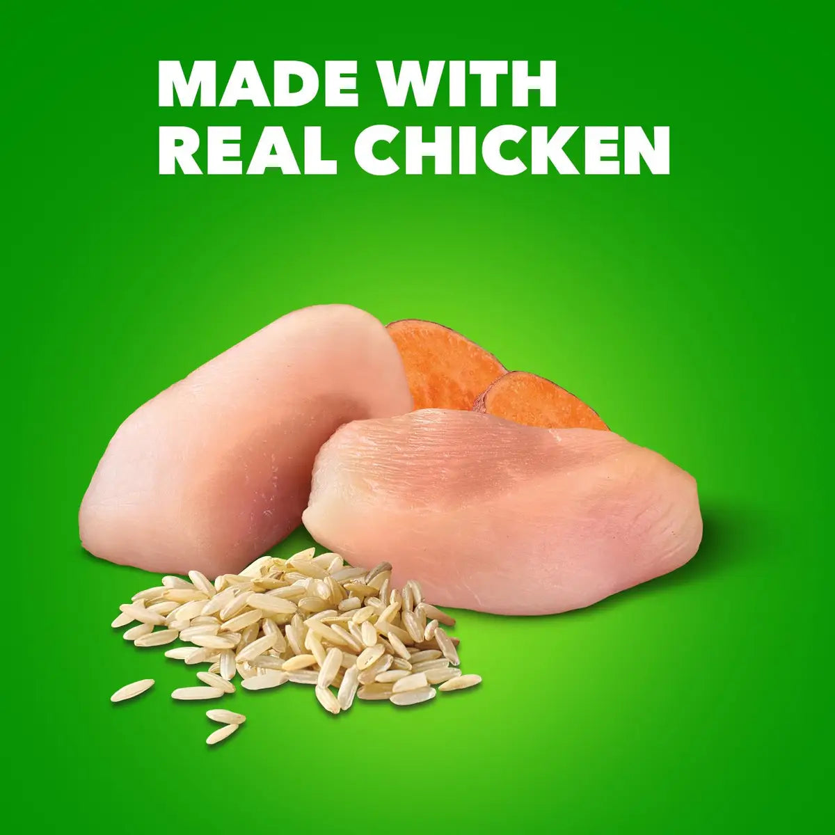 IAMS ProActive Health Slow Cooked Chicken and Rice Pate Senior Canned Dog Food - 13 Oz - Case of 12