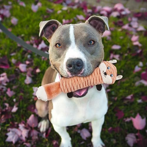 Ethical SPOT Skinneeez Stuffing-Free Beaver Racoon Stretch and Squeak Dog Toy - Small - 13 Inch