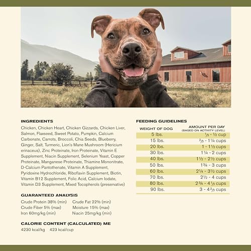 Badlands Ranch Superfood Complete High-Protein Chicken Air-Dried Dog Food - 24 Oz - 6 Pack