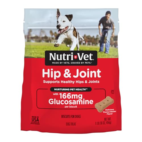 Nutri-Vet Hip and Joint Regular-Strength Peanut Butter Crunchy Dog Biscuits Treats - Small - 16 Oz
