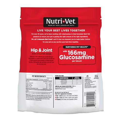 Nutri-Vet Hip and Joint Regular-Strength Peanut Butter Crunchy Dog Biscuits Treats - Small - 16 Oz