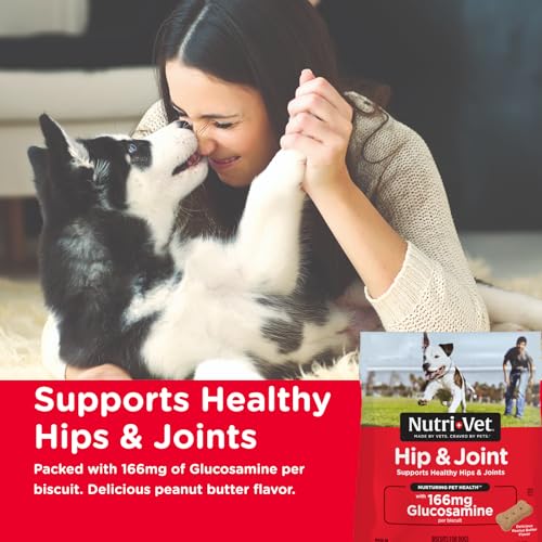 Nutri-Vet Hip and Joint Regular-Strength Peanut Butter Crunchy Dog Biscuits Treats - Small - 16 Oz