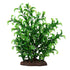 Fluval Green Cabomba Plastic Plant Set Aquarium Décor - Large -  8 Inch