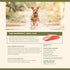 Badlands Ranch Superfood Bites Limited Ingredient Salmon Freeze-Dried Raw Dog Treats - 4 Oz - 6 Pack