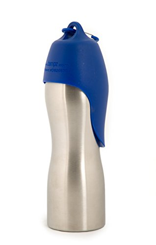 Kong H2O Insulated Stainless Steel Travel Pet Water Bottle - Blue - 25 Oz  