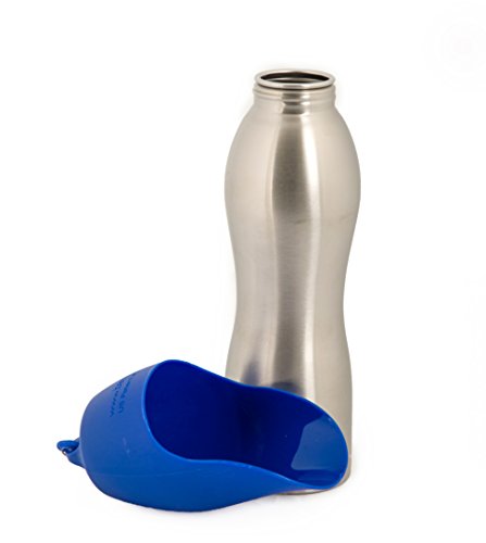 Kong H2O Insulated Stainless Steel Travel Pet Water Bottle - Blue - 25 Oz  