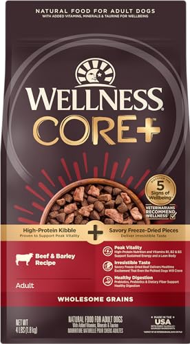Wellness CORE+ Wholesome Grains High-Protein Beef and Barley Adult Freeze-Dried Pieces and Dry Dog Food - 4 Lbs - Case of 6