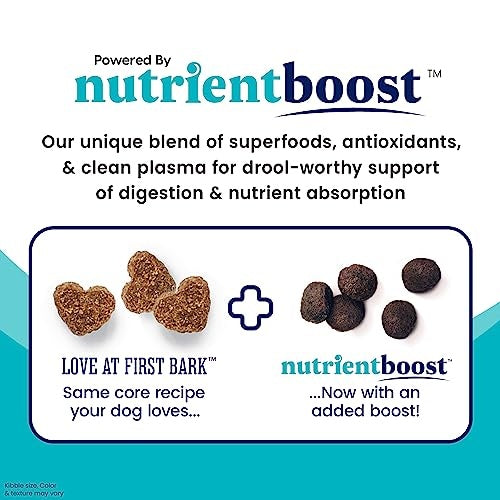 Solid Gold NutrientBoost Love At First Bark Grain-Free Gut Health Chicken Potato and Apple Puppy Dry Dog Food - 22 Lbs