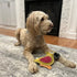 Ethical SPOT Dura-Fused Colors Natural Leather and Jute Parrot Squeak Chew Dog Toy - 8 Inch