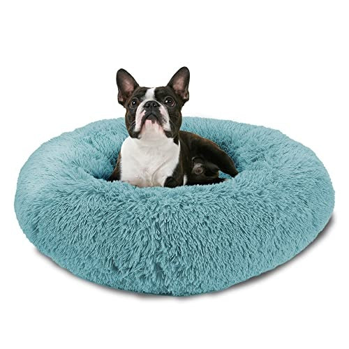 Arlee Rover Shaggy Round Calming Pet Bed - Teal - Medium - L26 X W:26 X H:10