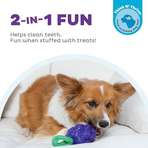 Outward Hound Dental Grapes Grape Scented Treat-Dispensing Fetch and Tug Dog Toy - Purple