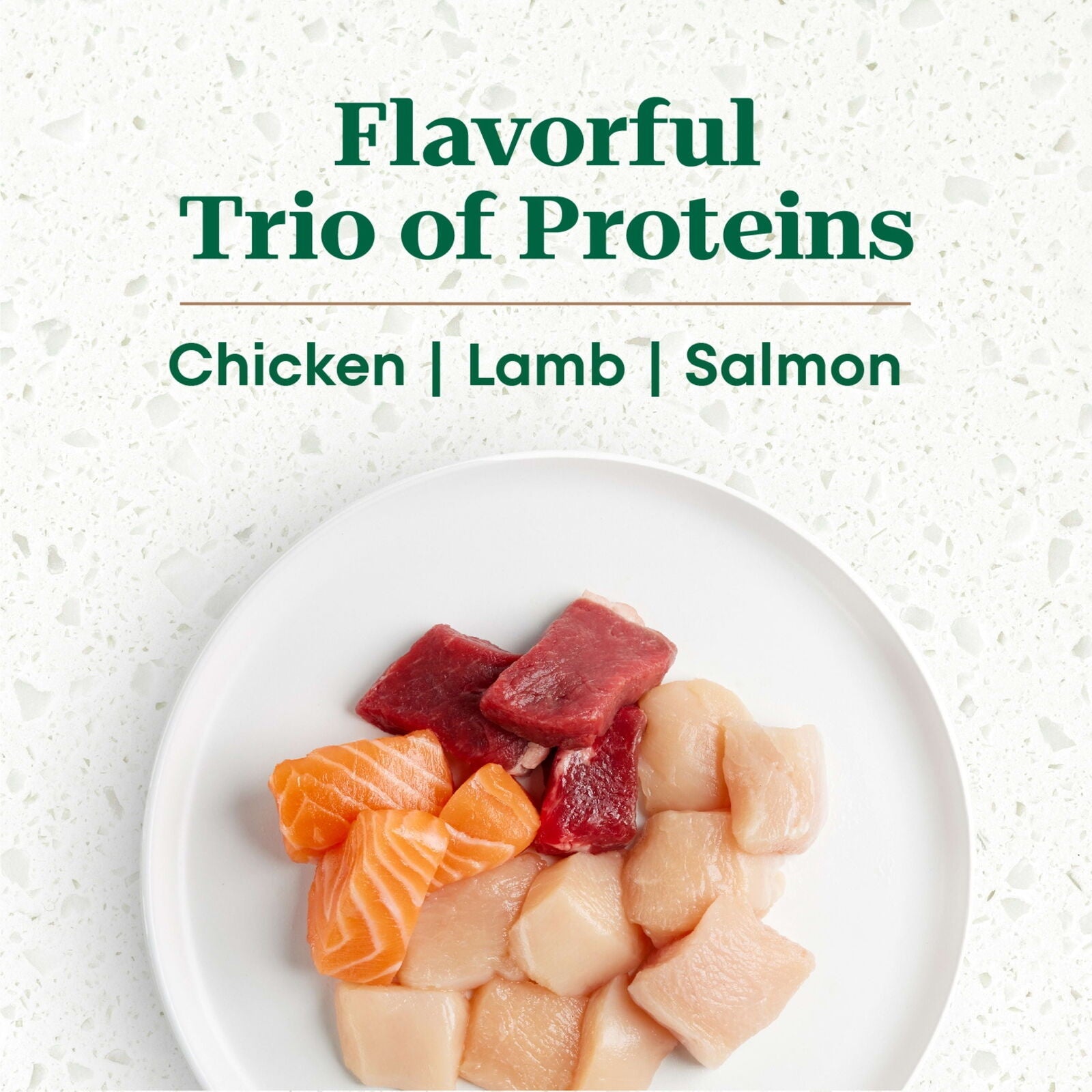Nutro Ultra-High Protein Superfood Plate Chicken Lamb Salmon Toy-Breed Adult Dry Dog Food - 3.5 Lbs