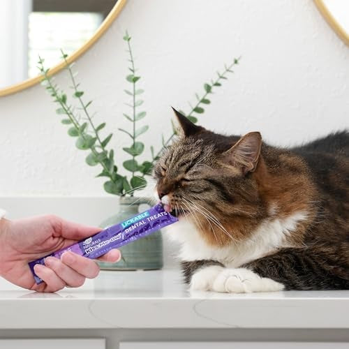 Ark Naturals Kiss Me-Ow Chicken Lickable Dental Cat Treats - 2 Oz