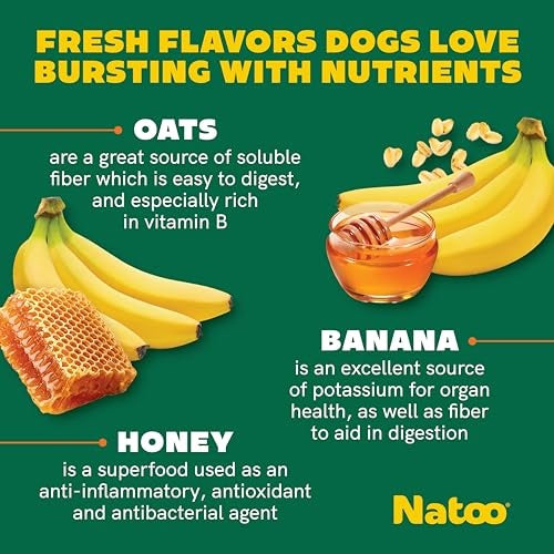 Natoo Crunchy Biscuits Oats Banana and Honey - Small Bites - 8 Oz - 10 Pack