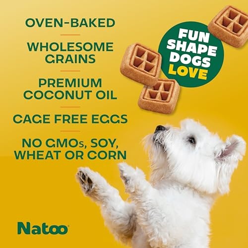 Natoo Crunchy Biscuits Oats Banana and Honey - Small Bites - 8 Oz - 10 Pack