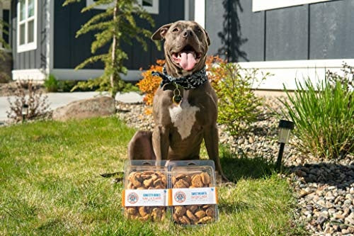 Claudia's Canine Bakery Sweethearts Bacon Flavored Biscuit Dog Treats - Large -  13 Oz - 9 Pack