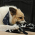 Ethical SPOT Dura-Fused Colors Natural Leather and Jute Jungle Animal Squeak Chew Dog Toy - 11 Inch