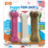 Nylabone Original Bone Chicken and Lamb Flavored Chew Dog Toy and Treat Variety Pack - Small/Regular - 3 Pack