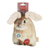 Territory Flopper Rabbit Inner Water Bottle Crunch and Flapping Chew Dog Toy - 9 Inches