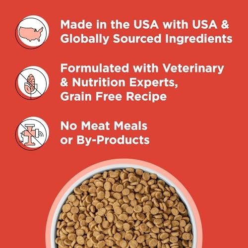 Bixbi Rawbble USA Made Grain-Free Beef Recipe Freeze-Dried Raw Dry Dog Food - 4 Lbs