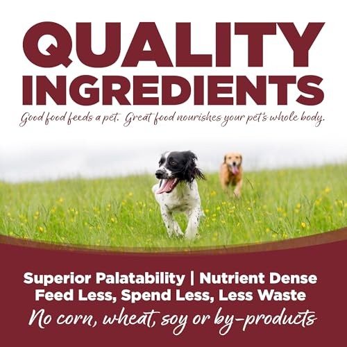 Nutrisource Beef and Rice Recipe with Wholesome Grains Dry Dog Food - 12 Lbs