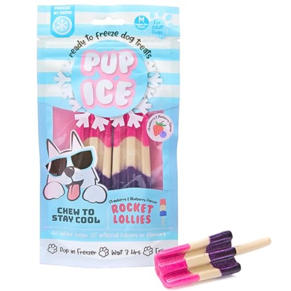 Ethical SPOT Pup Ice Ready-to-Freeze Strawberry and Blueberry Rocket Lollies with Chicken Dog Treats - 2 Pack Default Title