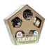 Prevue Pet Products Naturals Large Pentagon Forage N' Play Box Small Animal Toy and Hideout