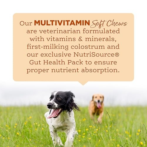 Nutrisource AmpliFull Turkey Flavored Multivitamin Adult Supplemental Dog Soft Chews - 70 Count - 12.5 Oz - Case of 6