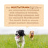 Nutrisource AmpliFull Turkey Flavored Multivitamin Adult Supplemental Dog Soft Chews - 70 Count - 12.5 Oz - Case of 6