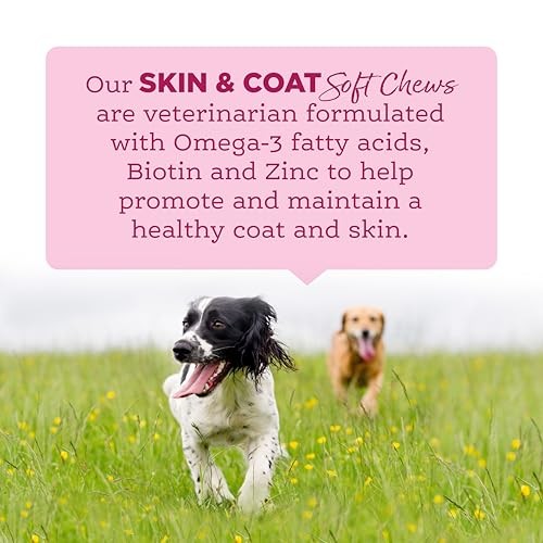 Nutrisource AmpliFull Salmon Flavored Skin and Coat Adult Supplemental Dog Soft Chews - 70 Count - 12.5 Oz - Case of 6