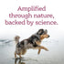 Nutrisource AmpliFull Skin and Coat Gummies Apple Supplemental Dog Chews - 90 Count - 11 Oz - Case of 6