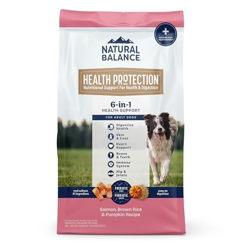 Natural Balance Health Protection Salmon Brown Rice Pumpkin Adult Dry Dog Food - 22 Lbs Default Title