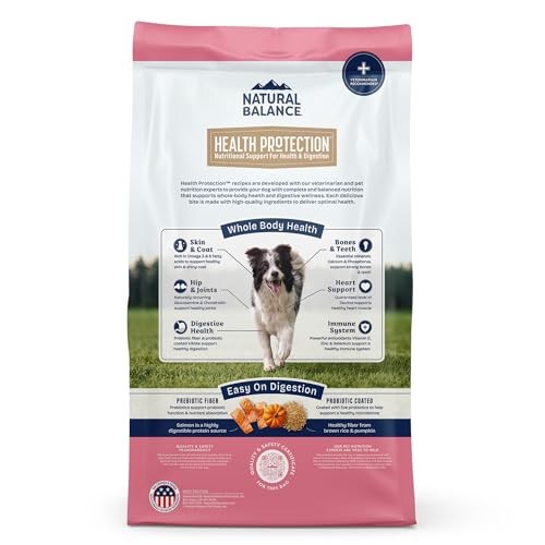 Natural Balance Health Protection Salmon Brown Rice Pumpkin Adult Dry Dog Food - 22 Lbs
