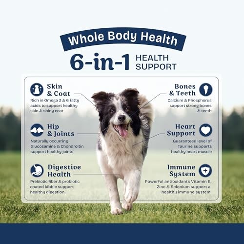 Natural Balance Health Protection Lamb Brown Rice Pumpkin Adult Dry Dog Food - 4 Lbs
