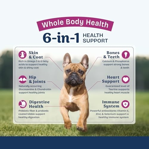 Natural Balance Health Protection Chicken Brown Rice Pumpkin Small-Breed Adult Dry Dog Food - 12 Lbs