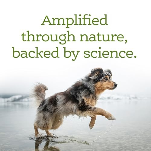 Nutrisource AmpliFull Immune plus Digestive Support Gummies Apple Supplemental Dog Chews - 90 Count - 11 Oz - Case of 6