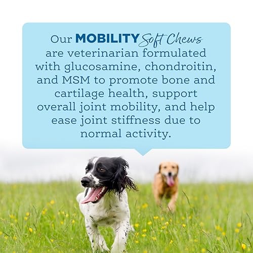 Nutrisource AmpliFull Turkey Flavored Mobility Adult Supplemental Dog Soft Chews - 70 Count - 12.5 Oz - Case of 6